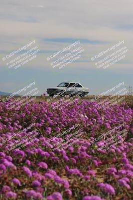 media/Jan-08-2023-SCCA SD (Sun) [[8f6a5b9391]]/Intermediate Group/Session 2 (Short Straight)/